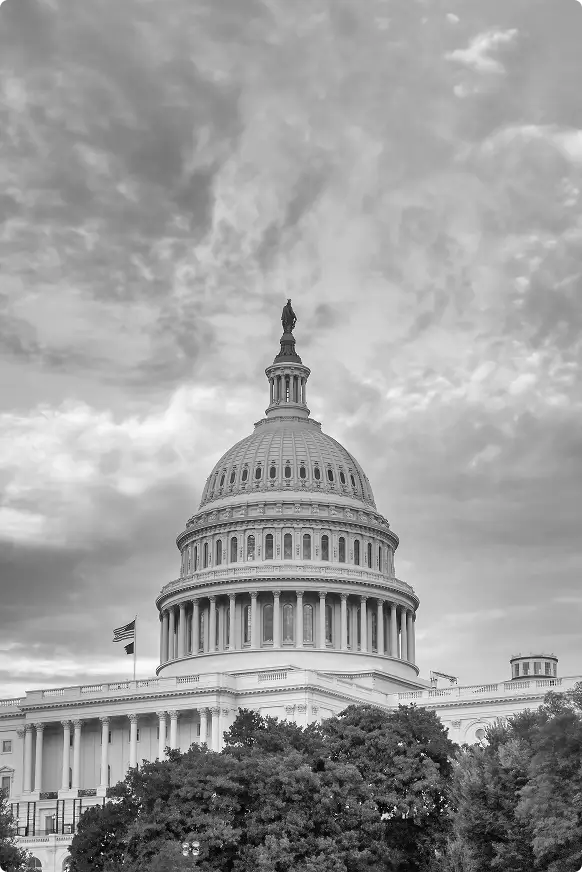 services-image-placeholder-4